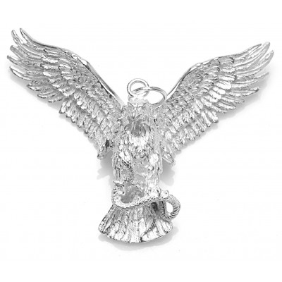 Surinaamse adelaar hanger | Adelaar hanger zilver